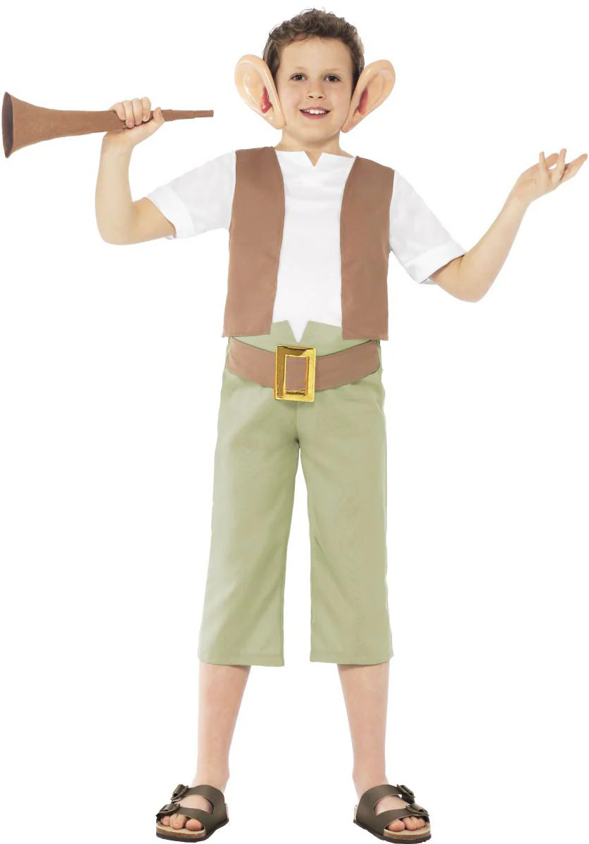 BFG COSTUME, CHILD